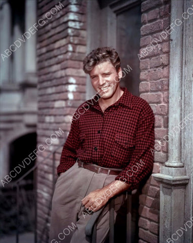handsome Burt Lancaster outdoors in the sun 8b20-5564