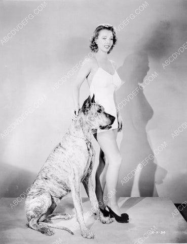 sexy Carole Landis in swimwear w Great Dane dog 8b20-5958