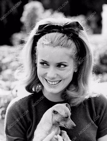 beautiful Catherine Deneuve and her cute puppy dog 8b20-6208