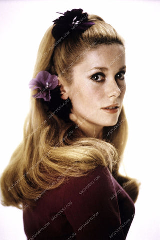 beautiful Catherine Deneuve portrait 8b20-6231