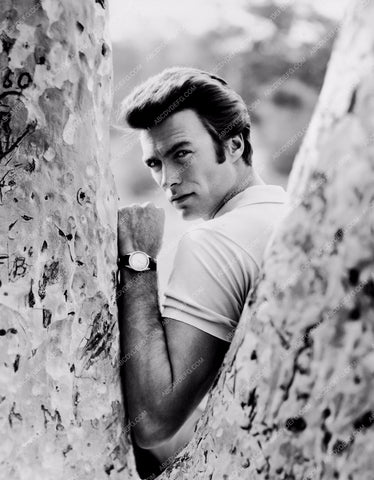 handsome Clint Eastwood outdoors portrait 8b20-6354
