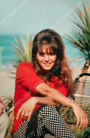 beautiful Claudia Cardinale portrait 8b20-6440
