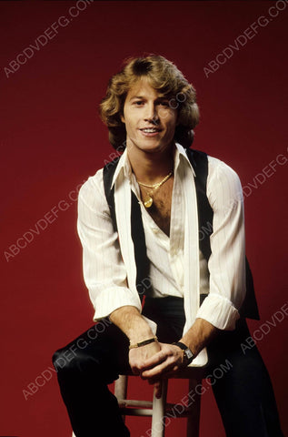 Andy Gibb portrait 8b20-6534