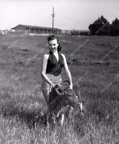 beautiful farmer's daughter Charlotte Austin taking care of the cow 8b20-7485