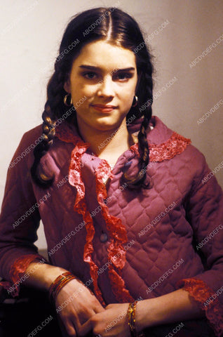 Brooke Shields portrait 8b20-8414