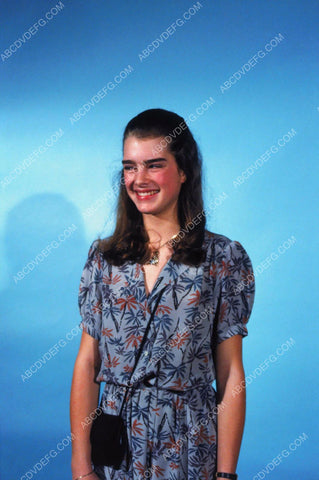 Brooke Shields portrait 8b20-8443