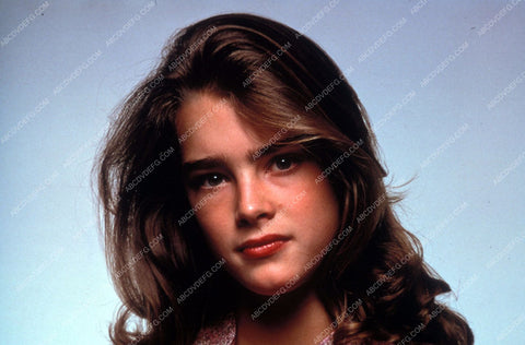 Brooke Shields portrait 8b20-8457
