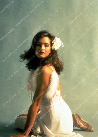 Brooke Shields portrait 8b20-8459