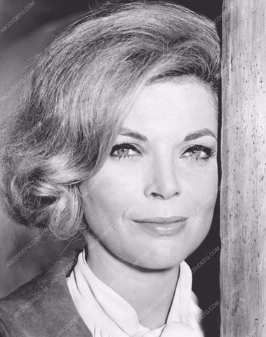 beautiful Barbara Bain portrait 8b20-8536