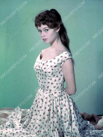 beautiful Brigitte bardot portrait 8b20-8649