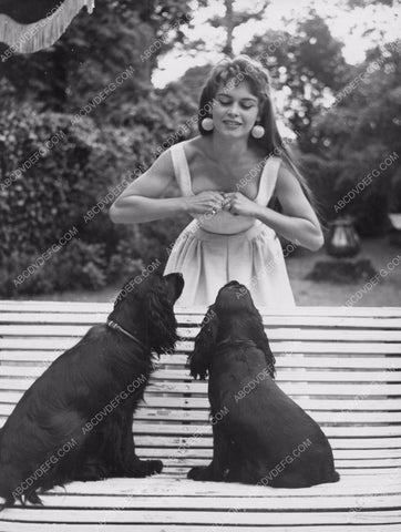 lovely Brigitte Bardot playing with her dogs 8b20-8657