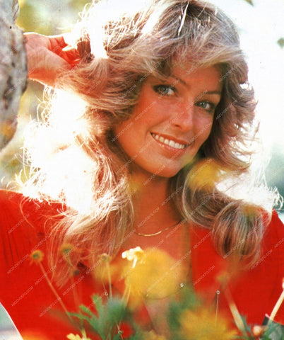 beautiful Farrah Fawcett outdoors portrait 8b20-9562