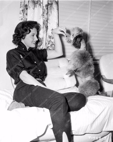 May Wynn and dog behind the scenes Republic The Man Is Armed mwynn-22