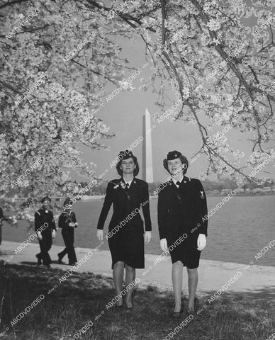 crp-071 1945 Coast Guard PR photo SPARS Frances Naughton & Eileen Van Dree cherry blossoms Washington DC crp-071
