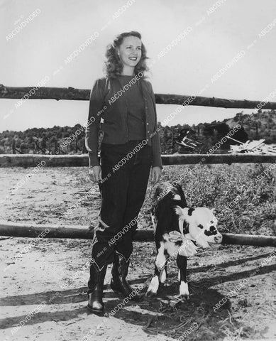 crp-00086 Barbara Britton w a little calf on location in Sedona Az film Gunfighters crp-00086