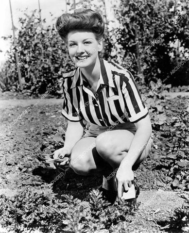 crp-10020 1943 Ann Savage working in her WWII Victory Garden crp-10020
