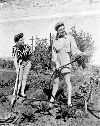 crp-10022 1943 Ann Savage & Leslie Brooks work in her WWII Victory Garden crp-10022