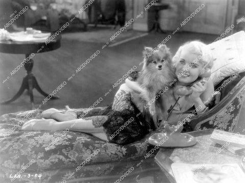 crp-10433 1931 Joan Marsh w pomeranian dog on chaise lounge film Three Girls Lost crp-10433