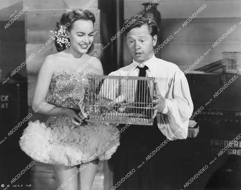 crp-01077 1950 Mickey Rooney, Terry Moore film He's a Cockeyed Wonder crp-01077