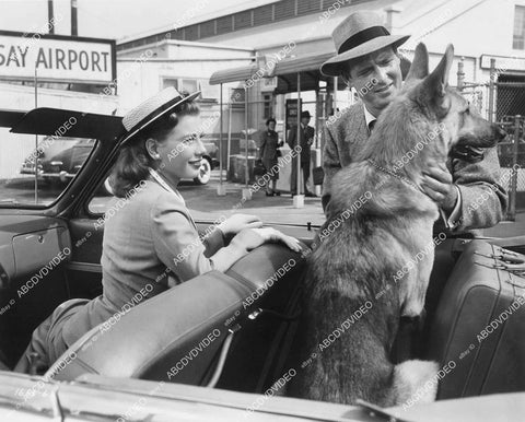 crp-11062 1951 Peggy Dow, Charles Drake, Flame the Dog film You Never Can Tell crp-11062