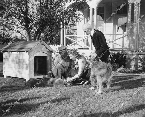 crp-11064 1951 Peggy Dow, Watson Downs, William Vedder, Flame the Dog film You Never Can Tell crp-11064