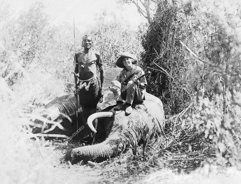 crp-12338 1920's Osa Johnson pics of African Safari w an elephant crp-12338