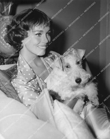 crp-12376 1957 Hollywood film animals Asta the dog & Phyllis Kirk TV The Thin Man crp-12376