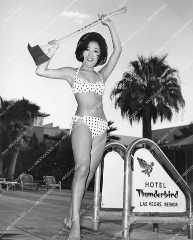crp-12422 1950's sexy babe in polka dot bikini w axe Hotel Thunderbird Las Vegas vintage pinup pose crp-12422