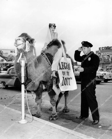 crp-12433 1957 sexy harem babe on a camel & Los Angeles police officer promo film Legend of the Lost crp-12433