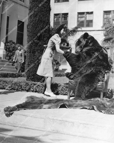crp-12475 1940 Hollywood film animals Big Boy the bear gets reception at Paramount Studios from commissary waitress crp-12475