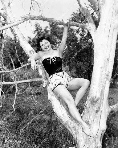 crp-12650 1954 cutie pie Betty Jane Howarth aka Jane Howard vintage pinup pose in a tree crp-12650