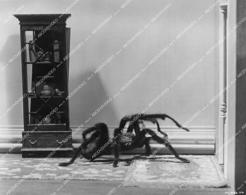 crp-12806 1965 giant tarantula special fx scene film The Secret of My Success crp-12806