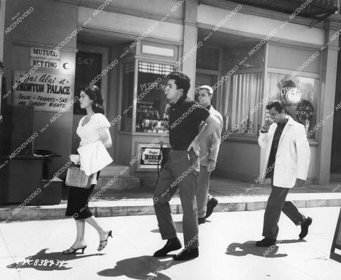 crp-13572 1957 James Darren, Joy Stoner, Mike Monroe, Jerry Sommers film The Tijuana Story crp-13572