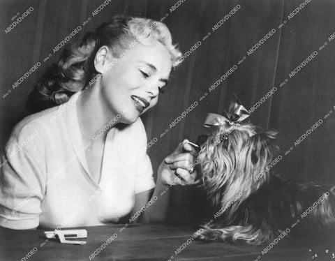 crp-13720 1952 beautiful original dumb blonde Marie Wilson w her terrier dog Hobbs at home crp-13720