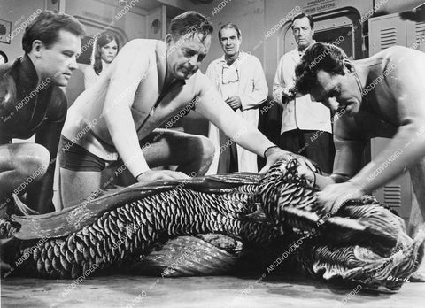 crp-13777 1966 Gary Merrill, Scott Brady and sci-fi sea creature film Destination Inner Space crp-13777