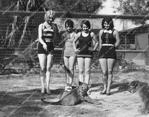 crp-13827 1928 pre-code chorus girl dancers Paula Hays, Evelyn Baker, Bubbles O'Neill, Cleo Cordova visitGay's Lion Farm El Monte Calif crp-13827