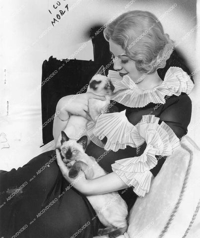 crp-14178 1935 candid Glenda Farrell w her siamese cats crp-14178