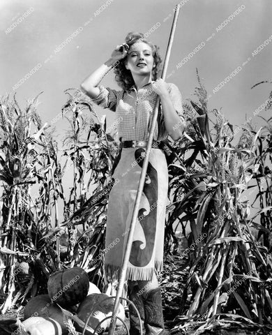 crp-14562 1943 beautiful Evelyn Keyes working in her pumpkin patch crp-14562