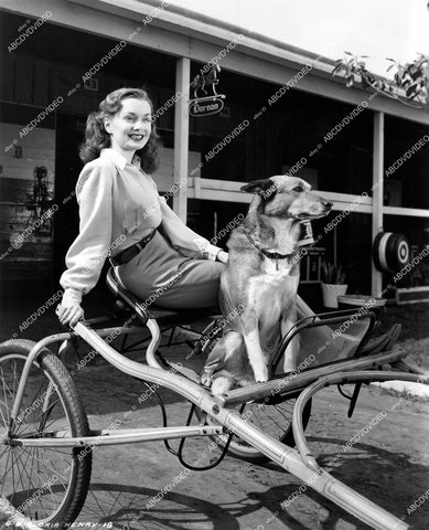 crp-15239 1947 Gloria Henry w her dog Mustard film Sport of Kings crp-15239