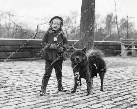 crp-15397 1940's cute little girl w her Chow dog "Gunga Din" crp-15397