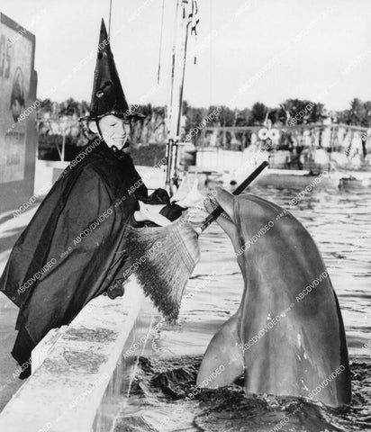crp-15403 1959 Flippy the dolphin of Marineland Florida returns young Witch's broom crp-15403