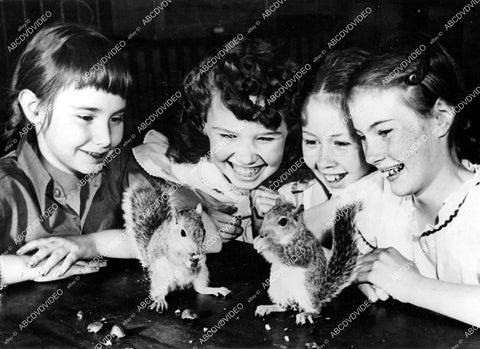 crp-15406 1946 children at Fulton School in Pittsburgh watch squirrels dispose of some nuts crp-15406