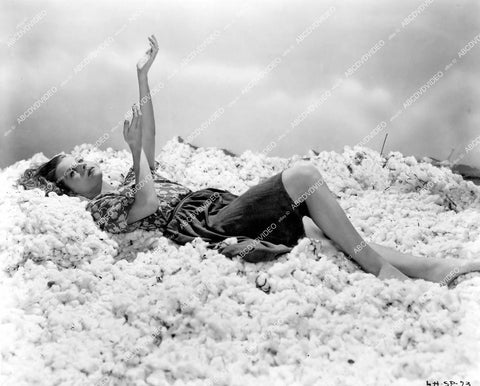 crp-15591 1939 Betty Field laying in bed of cotton balls film Of Mice and Men crp-15591