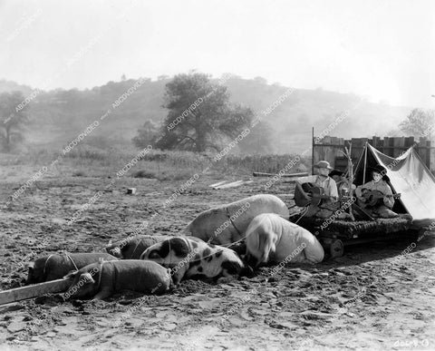crp-16110 1933 Mickey Rooney, Douglas Scott, Marvin Stephens & 6 hog wagon team short subject Mickey's Covered Wagon crp-16110