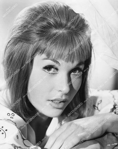 crp-01649 1963 beautiful Liliane Brousse portrait Hammer film Maniac crp-01649