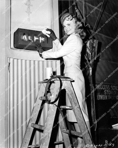 crp-16505 1945 Janet Blair polishing air raid warning sign film Tonight and Every Night crp-16505