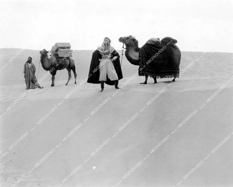 crp-16571 1919 Lou Tellegen w camel caravan silent film Flame of the Desert crp-16571