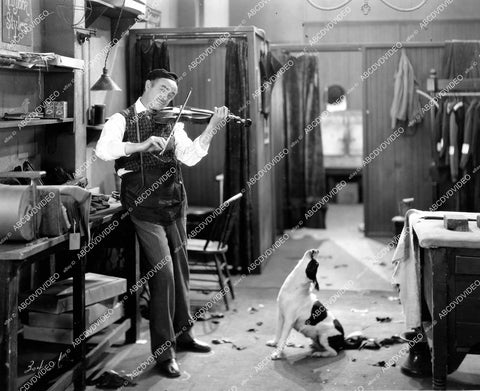 crp-16991 1927 Tenen Holtz, Cameo the Dog silent film Frisco Sally Levy crp-16991