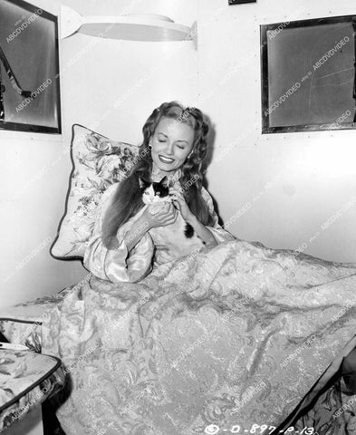 crp-17810 1948 Janet Blair in portable dressing room w her cat film The Black Arrow crp-17810