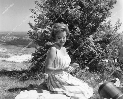 crp-01803 1963 Kerwin Mathews, Nadia Gray go for picnic Hammer film Maniac crp-01803